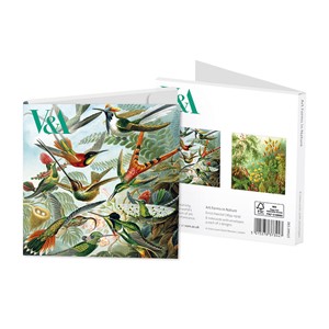 "Ernst Haeckel - Art Forms in Nature" Notecards 8/8