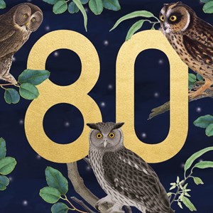 Natural History Museum "Owls 80" Kvadratisk kort