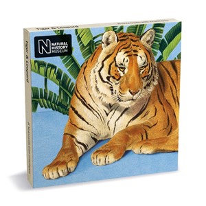 "Tiger & Leopard" Notecards 8/8