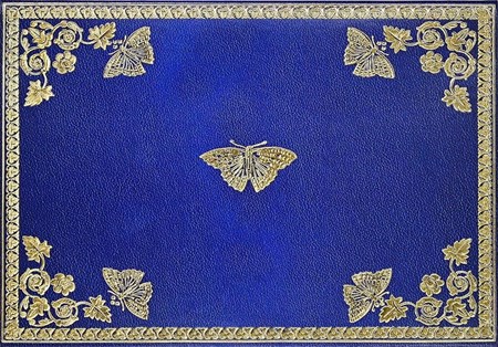 "Guilded Butterflies" Notecards 14 kort/15 konvolutter