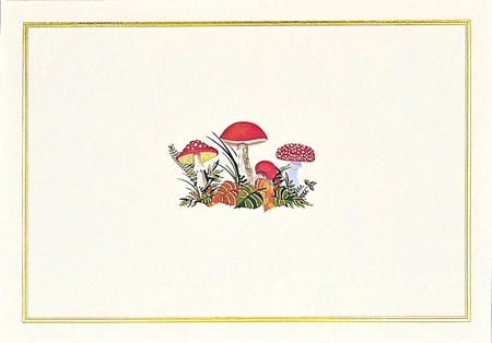 "Mushrooms" Notecards 14 kort/15 konvolutter
