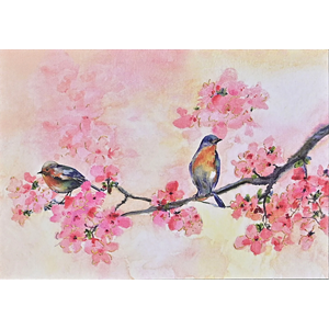 "Cherry Blossoms in Spring" Notecards 14 kort/15 konvolutter