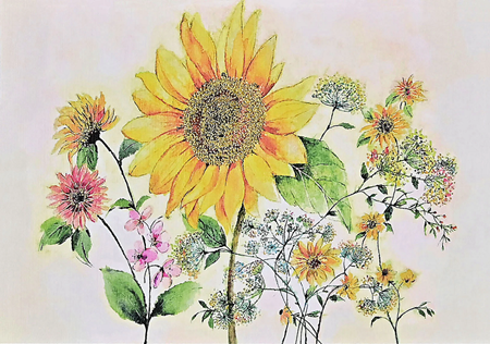 "Watercolor Sunflower" Notecards 14 kort/15 konvolutter