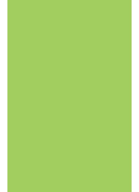 "Pastel Paper - Lime Green" A4 80 gram, 25 ark