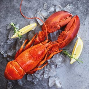 Serviett " Fresh Lobster " 33 x 33 cm, 20 stk