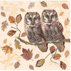 Serviett "Owl Couple" 33 x 33 cm, 20 stk