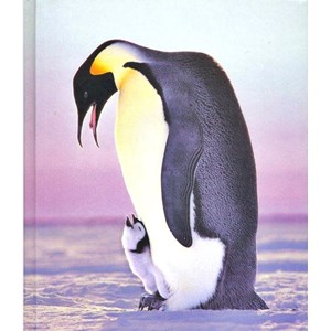 "Pingvin" Skrivebok, 3  assortert