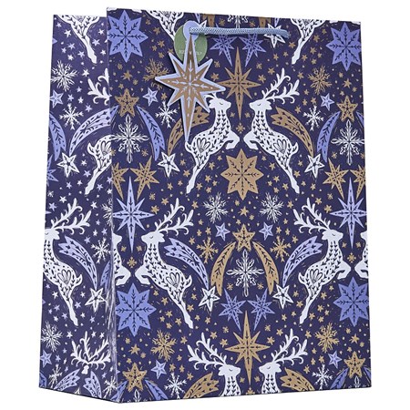 "Star Chasers" Gavepose large