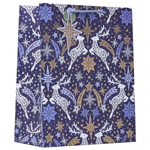 "Star Chasers" Gavepose large