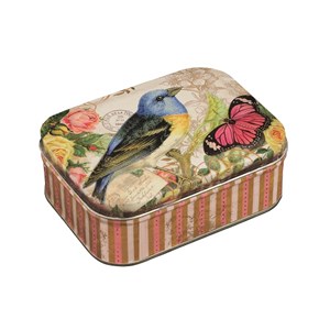 "Nostalgia - Bird & Butterfly"