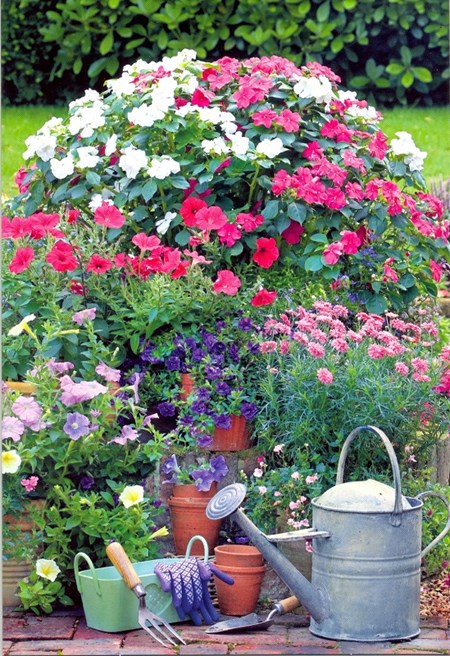 "Røde og hvite blomster i urne" Dobbelt blomsterkort.