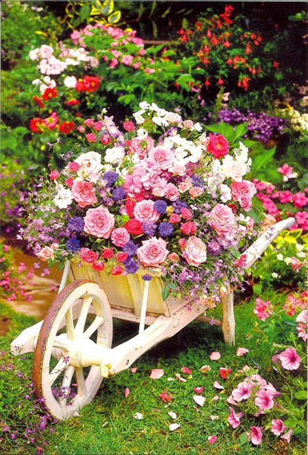 "Blomster i trillebår" Dobbelt blomsterkort.