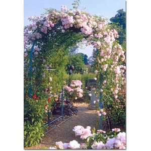 "Portal med rosa roser", dobbelt blomsterkort