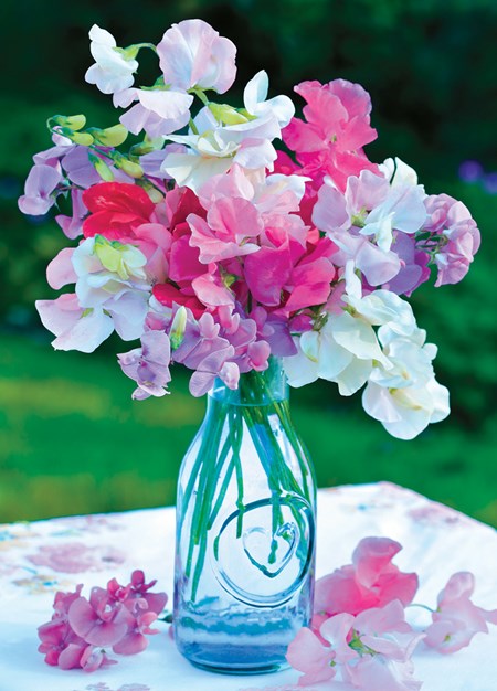 "Floral" dobbelt kort