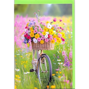 "Sykkel med blomsterkurv" Dobbelt blomsterkort m/grønn konv