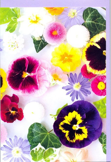 "Stemorsblomster", Dobbelt blomsterkort m/lilla konvolutt