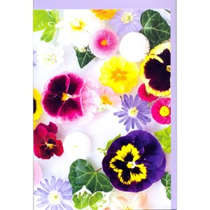 "Stemorsblomster", Dobbelt blomsterkort m/lilla konvolutt