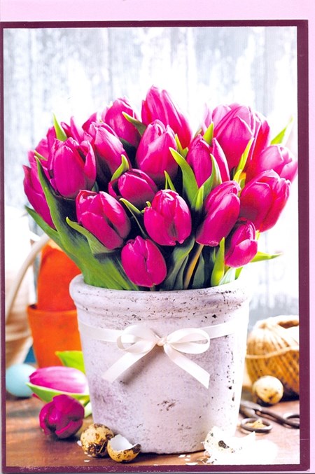"Rosa tulipaner i krukke" Dobbelt blomsterkort m/rosa konv.