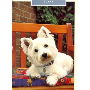 West Highland Terrier