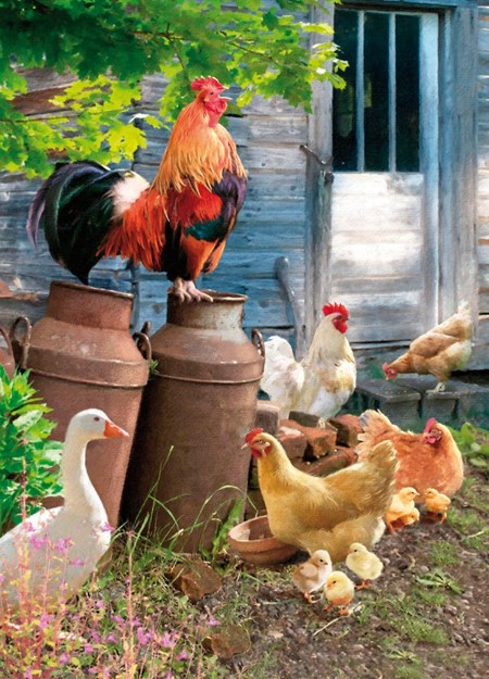 "Farmyard scene"