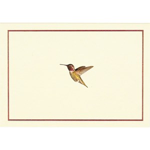 "Hummingbird Flight" Note Cards (14/15)