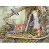 "Fairy Garden" Boxed Note Cards 13/13