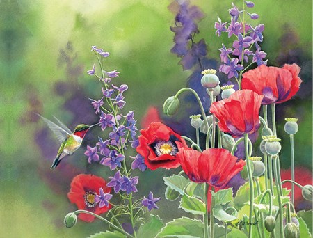 "Flavors of Summer" Assorted Boxed Note Cards 12/12
