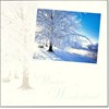 "Winter Scenes", 12 Luxury Christmas Cards,