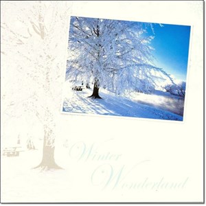 "Winter Scenes", 12 Luxury Christmas Cards,