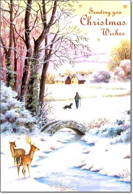 "Winter Scenes", 10 Luxury Christmas Cards,