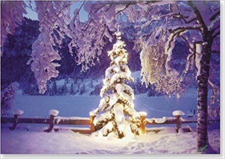 "Illuminated Tree", Julekort m/engelsk tekst