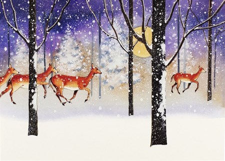 "Deer in Snowfall" Deluxe Boxed Christmas Cards 20/21