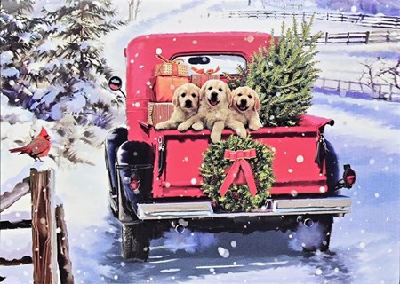 "Snowy Forest", Julekort m/eng. tekst 20 kor