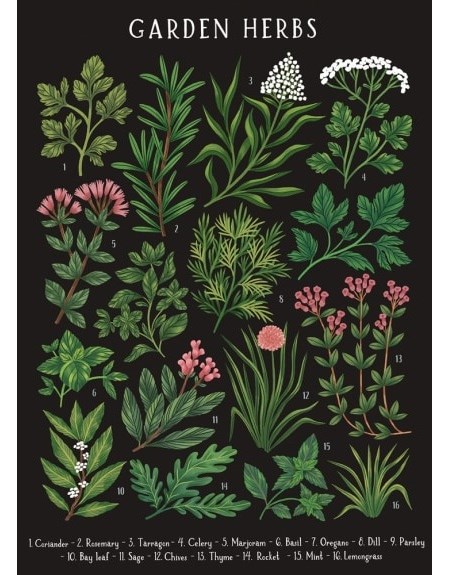 "Kaja Kajfez - Garden Herbs" Dobbelt kunstkort