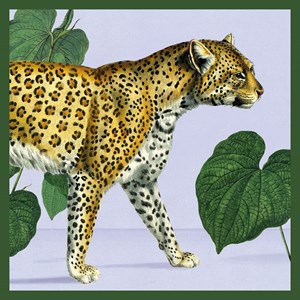 Natural History Museum "Leopard" kvadratisk kort