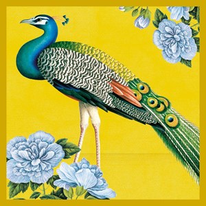 Natural History Museum "Indian Peacock" kvadratisk kort