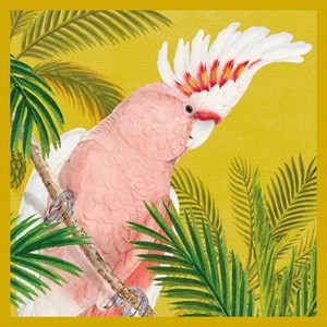 Natural History Museum "Pink Cockatoo" kvadratisk kort