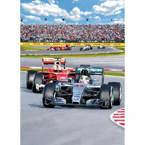 "Formula 1 Racing"