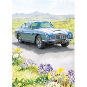 "Aston Martin" dobbelt kort