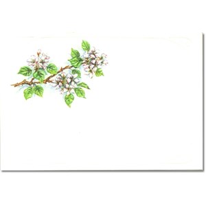 Visittkort, små, Fruktblomst, pk.a 8 stk.