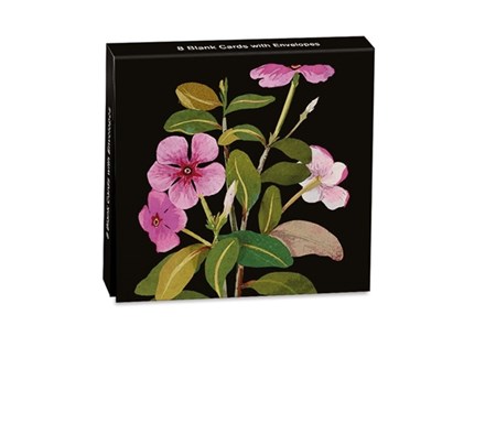 "Delany Vinca Rosea" Mini Notecards 8/8