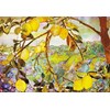 "Tiffany Lemon Tree" Notecards 14 kort/15 konvolutter