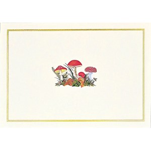 "Mushrooms" Notecards 14 kort/15 konvolutter