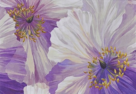 "Poppies in Bloom" Notecards 14 kort/15 konvolutter
