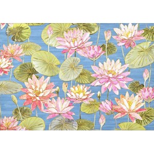 "Water Lilies" Notecards 14/15