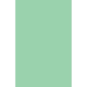 "Pastel Paper - Polar Green" A4 80 gram, 25 ark