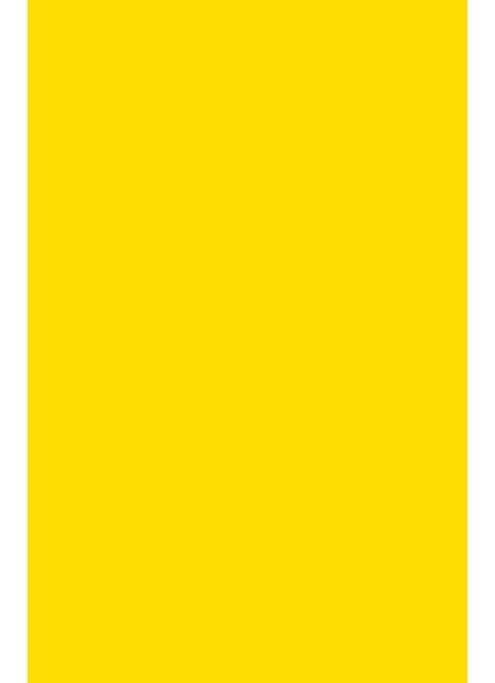 "Vivid Paper - Golden Yellow", A4, 80 gram, 25 ark