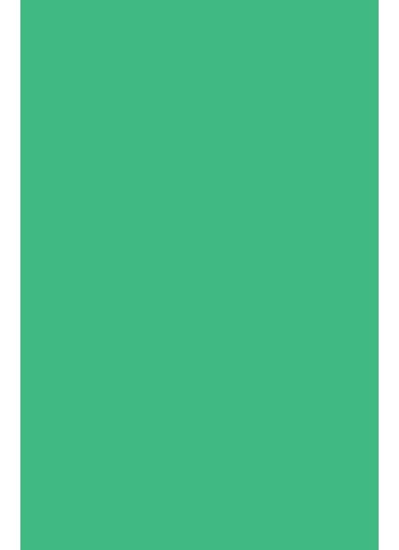 "Vivid Paper - Emerald Green", A4, 80 gram, 25 ark