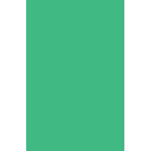 "Vivid Card - Emerald Green" A4, 170 gram, 20 ark