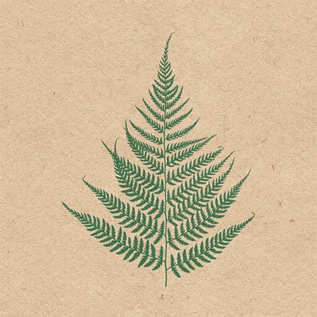 Serviett 100% Recycled "Fern Leave" 33 x 33 cm, 20